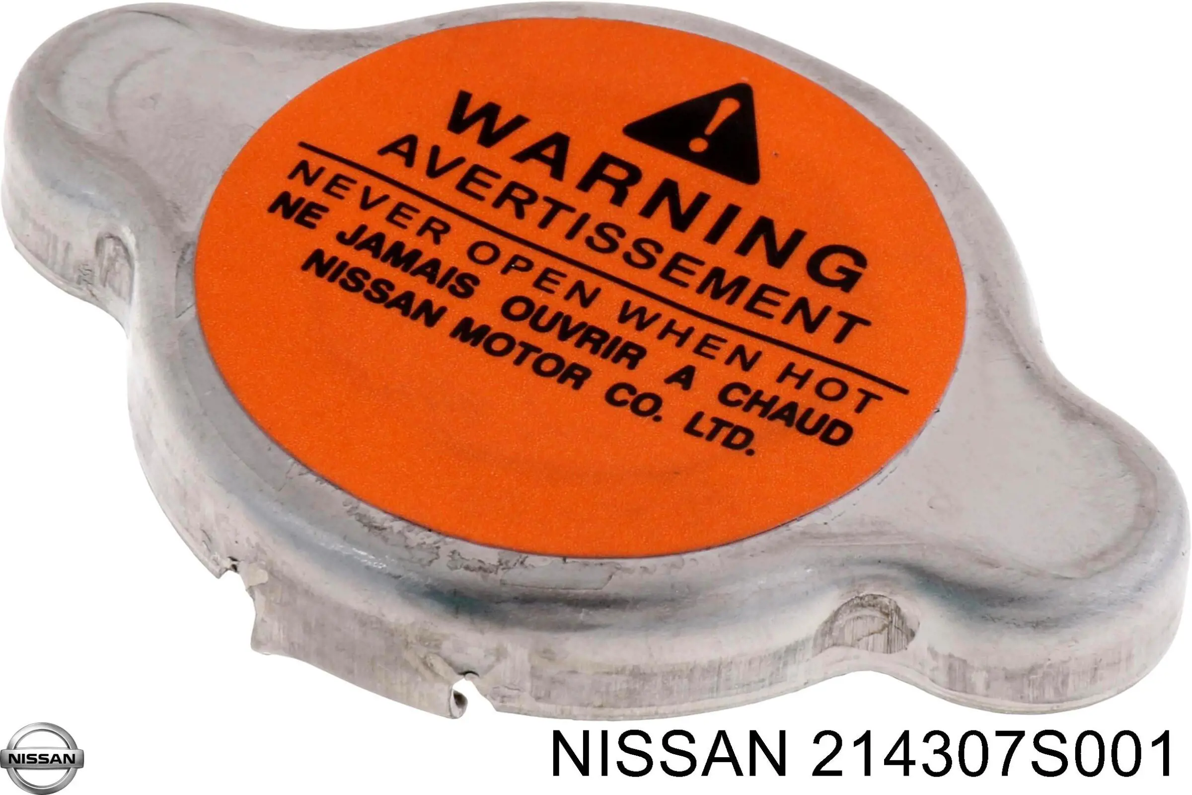  214307S001 Nissan