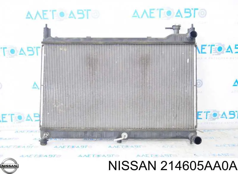 Радиатор охлаждения двигателя TYC 613NSA364 цена, от 155.67 USD