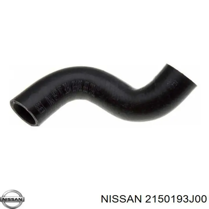  2150193J00 Nissan