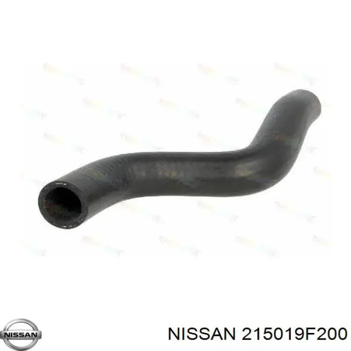  215019F200 Nissan