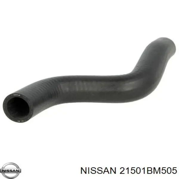 21501BM505 Nissan шланг (патрубок радиатора охлаждения верхний)