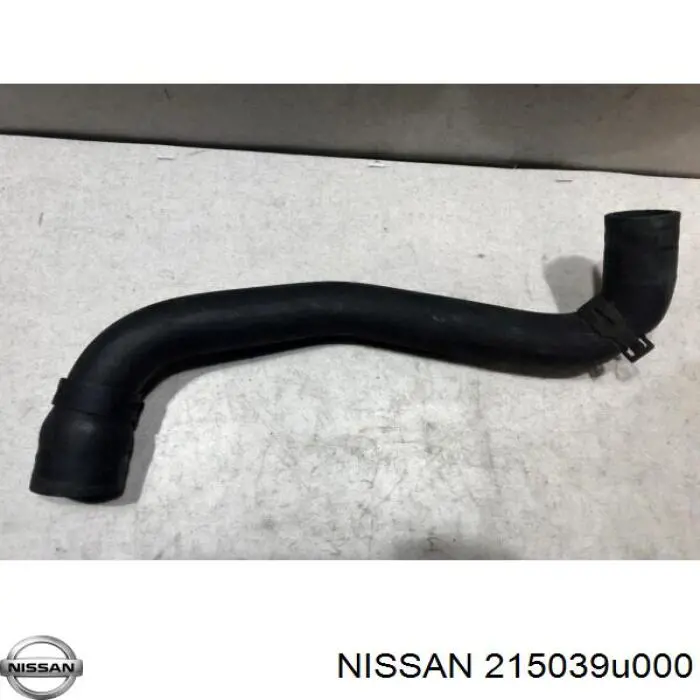  215039U000 Nissan