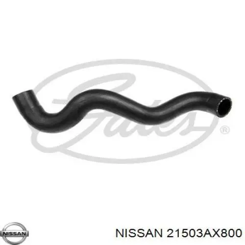 Шланг радиатора, нижний Nissan/Infiniti 21503BC01A цена, от 21.22 USD