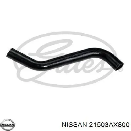 Купить 21503BC01A Nissan/Infiniti Шланг радиатора охлаждения нижний