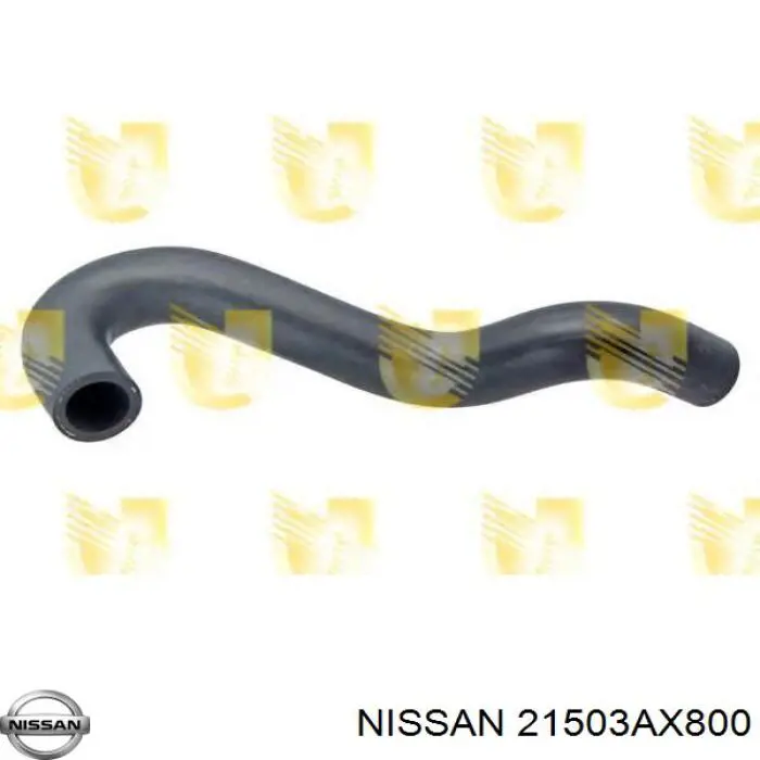 Нижний шлаг радиатора охлаждения 21503BC01A Nissan/Infiniti