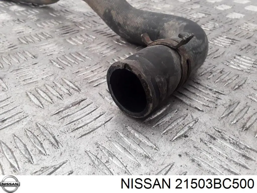 21503BC500 Nissan шланг (патрубок радиатора охлаждения нижний)