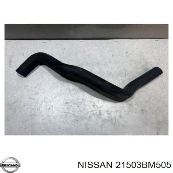 Нижний шлаг радиатора охлаждения 21503BM500 Nissan/Infiniti