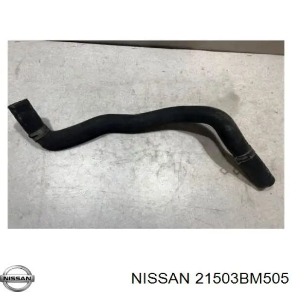Mangueira (cano derivado) inferior do radiador de esfriamento para Nissan Almera (N16)