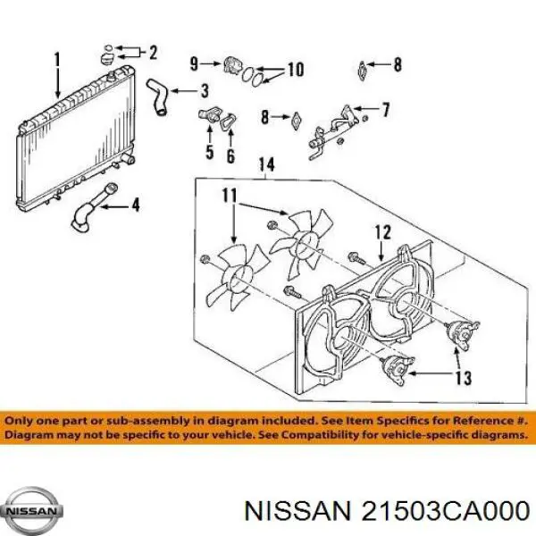 Шланг (патрубок) радиатора охлаждения нижний на Nissan Teana J31