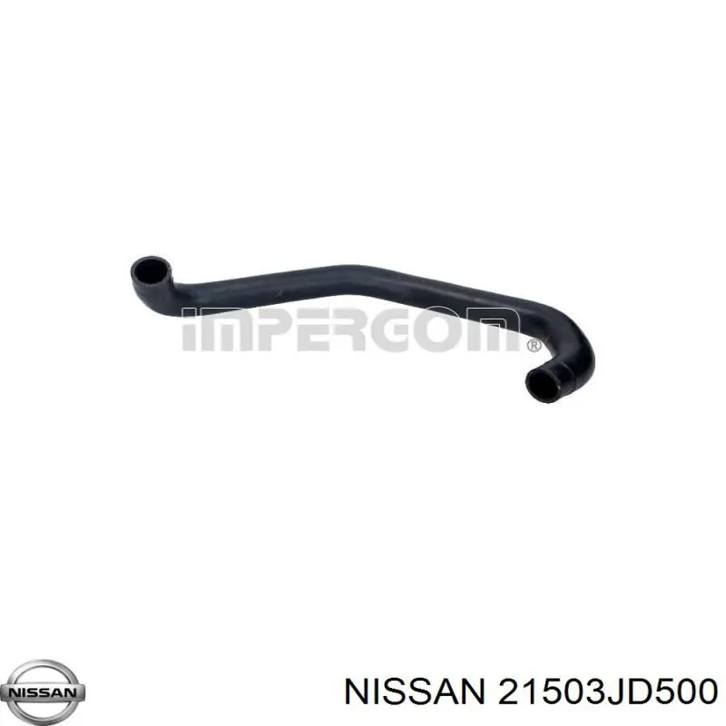 Mangueira (cano derivado) inferior do radiador de esfriamento para Nissan Qashqai (J10)
