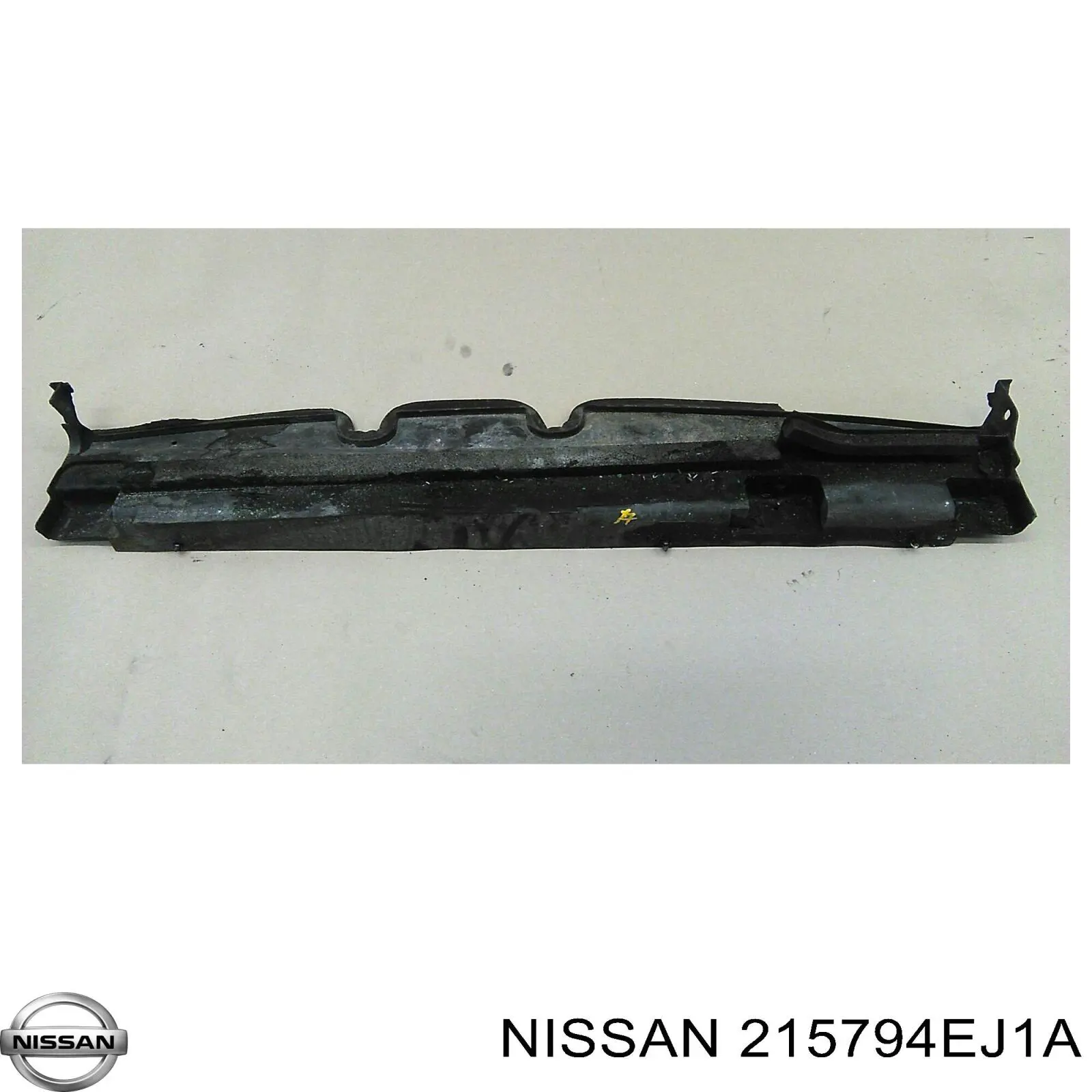 215794EJ1A Nissan
