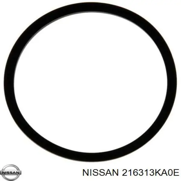 216313KA0E Nissan/Infiniti 