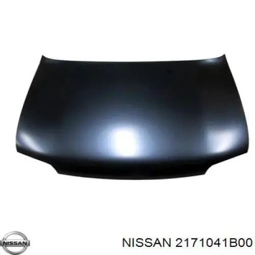 2171041B00 Nissan/Infiniti Расширительный бачок охлаждения