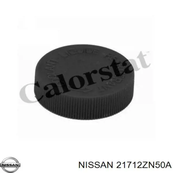 21712ZN50A Nissan 