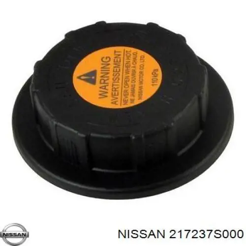  217237S000 Nissan