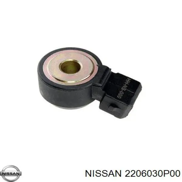 2206030P00 Nissan/Infiniti