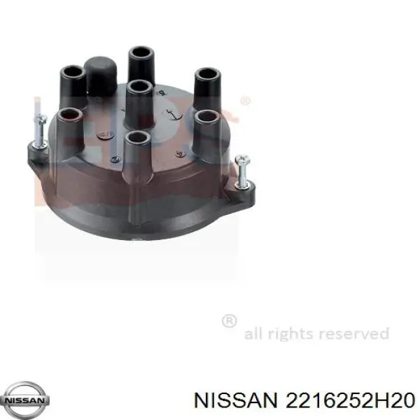  2216252H20 Nissan