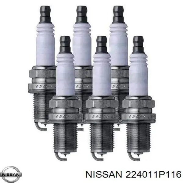 224011P116 Nissan vela de ignição