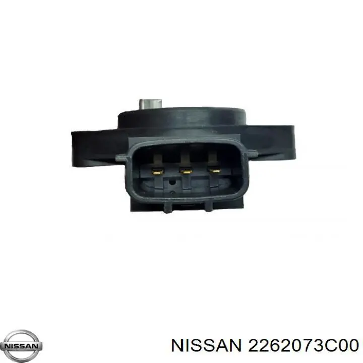 ДПДЗ Nissan/Infiniti 2262073C00