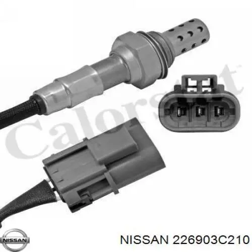 226903C210 Nissan