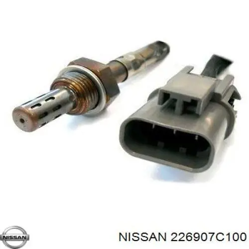 226907C100 Nissan