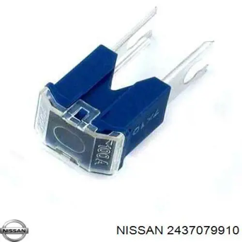 2437079910 Nissan 