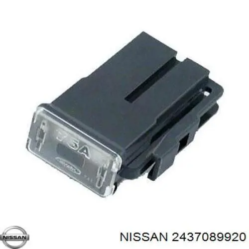 2437089920 Nissan dispositivo de segurança