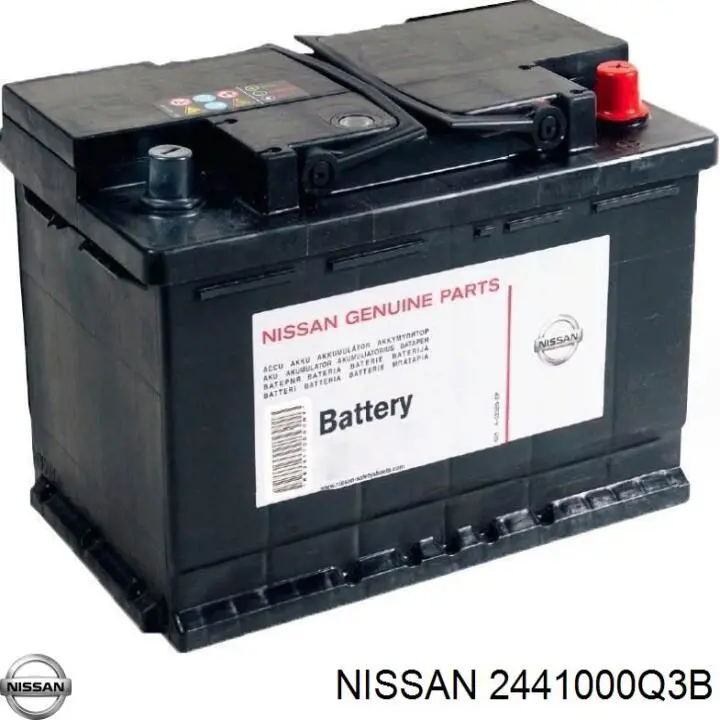  2441000Q3B Nissan