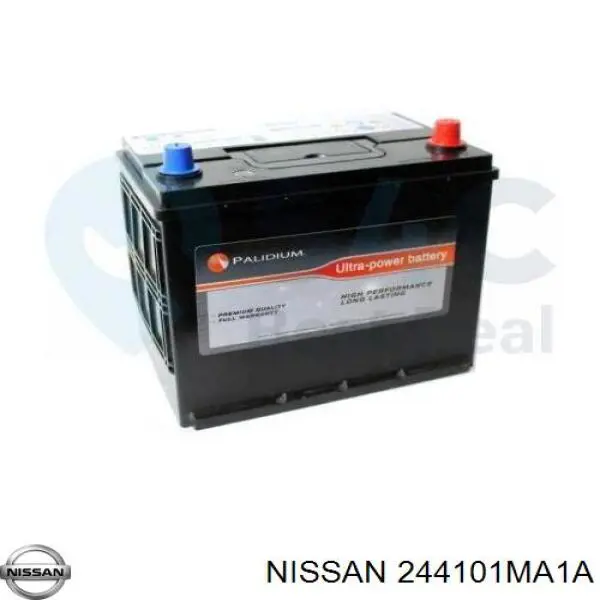 244101MA1A Nissan 