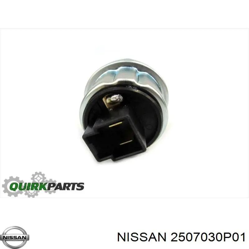Купить 2507030P01 Nissan/Infiniti 