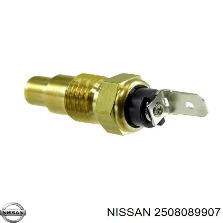 2508089907 Nissan/Infiniti