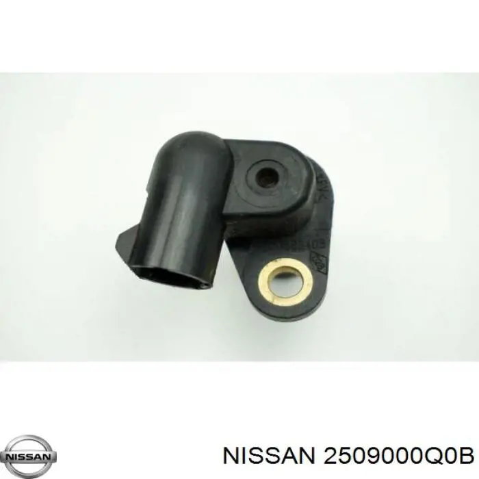  Renault (RVI) 2509000Q0B