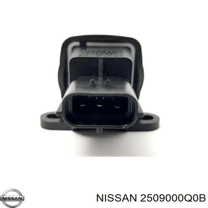 2509000Q0B Renault (RVI) 