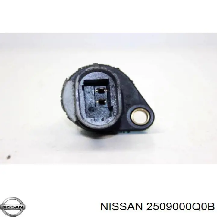  Renault (RVI) 2509000Q0B цена, от 57.66 USD