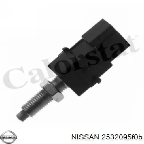  2532095F0B Nissan