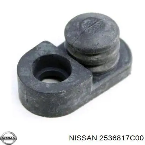 253686P000 Nissan 