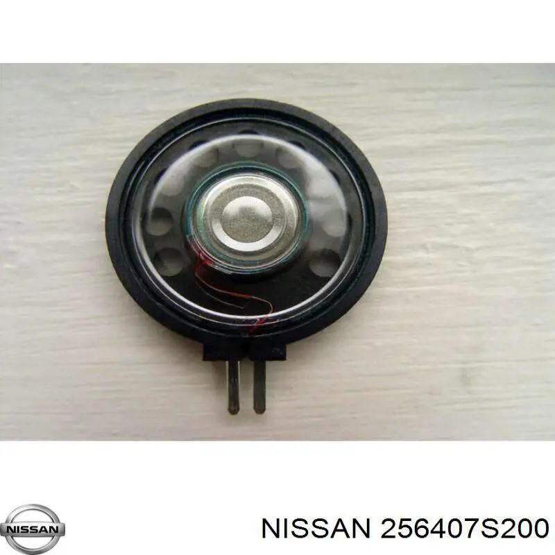 256407S200 Nissan/Infiniti 