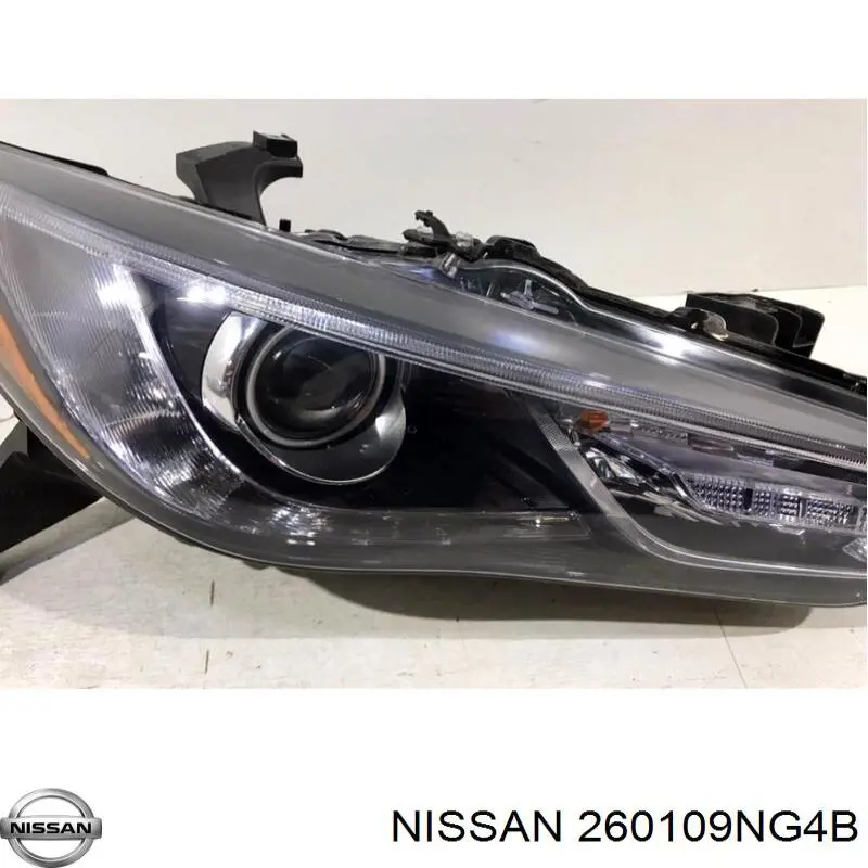 Правая блок фара Nissan/Infiniti 260109NG4B цена, от 893.79 USD