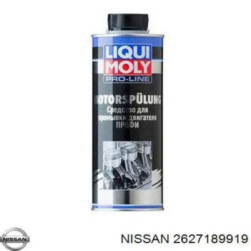  2627189919 Nissan/Infiniti