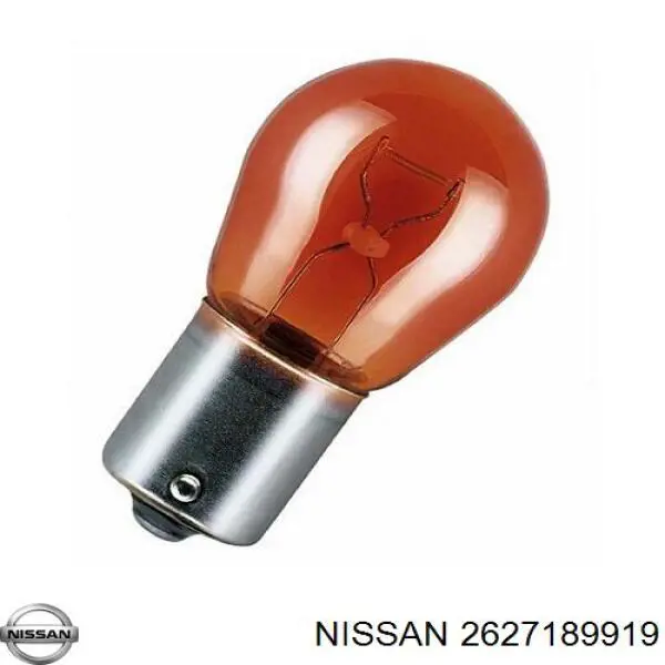 2627189919 Nissan/Infiniti 