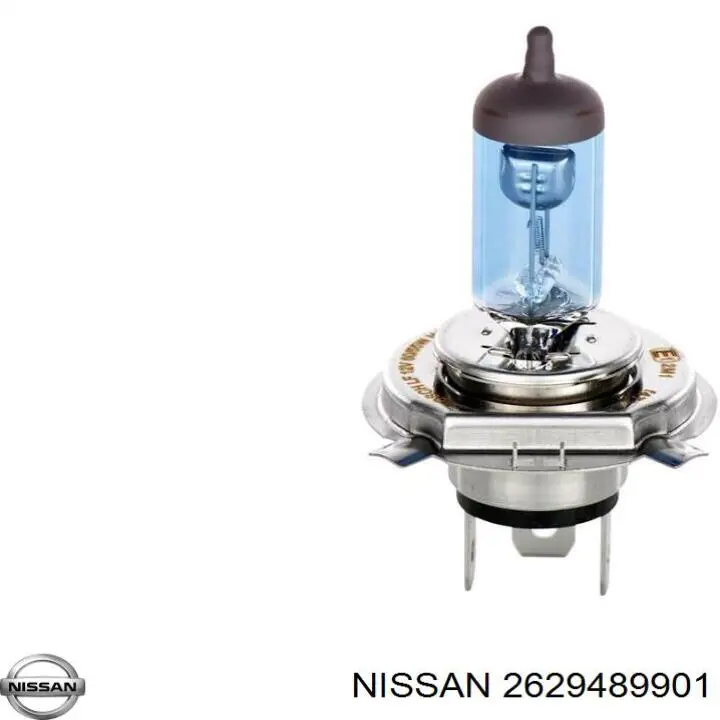  2629489901 Nissan