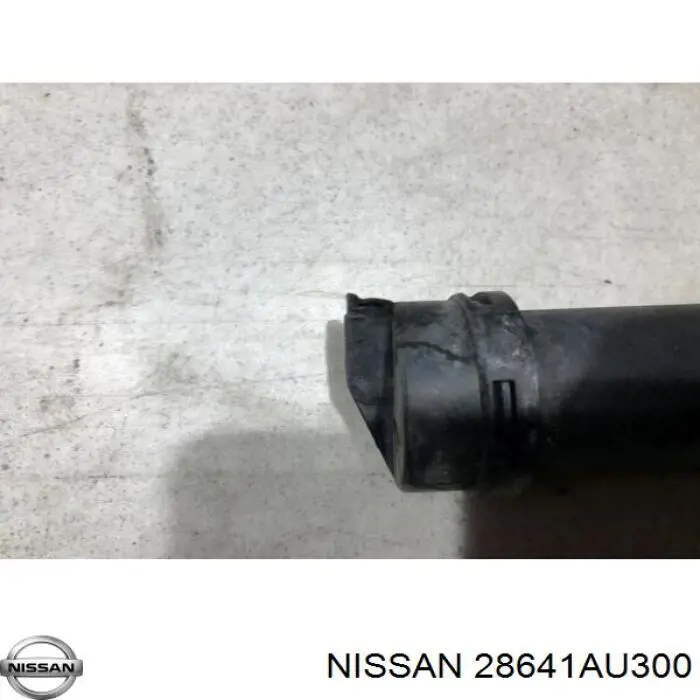 Форсунка омывателя фары передней правой 28641AU300 Nissan