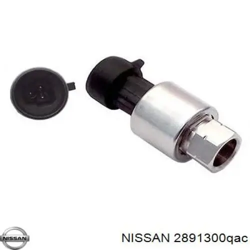  2891300QAC Nissan