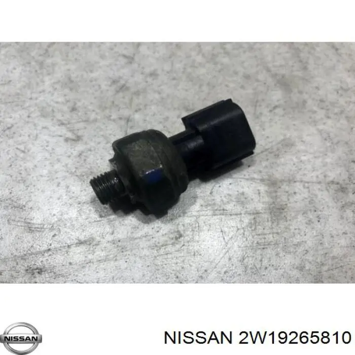  2W19265810 Nissan