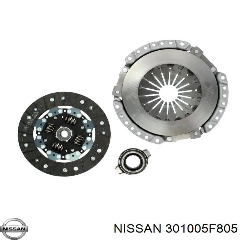  301005F805 Nissan