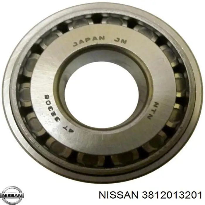  Nissan/Infiniti 3812013201