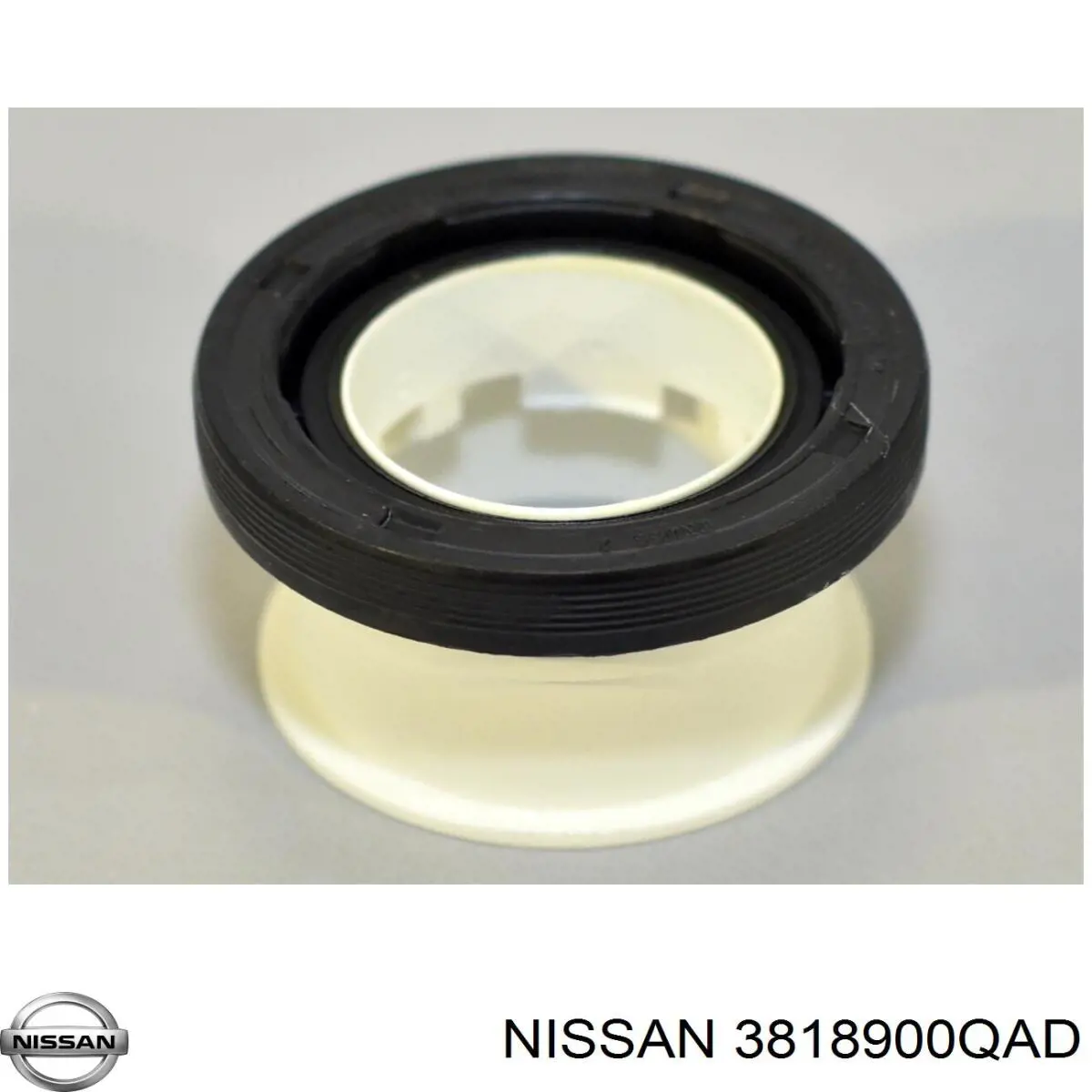 3818900QAD Nissan/Infiniti