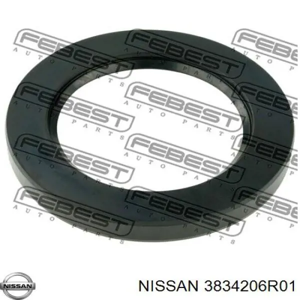 3834206R01 Nissan/Infiniti