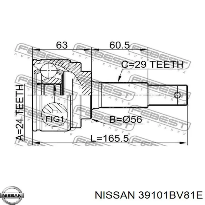  XX39101BV81C Market (OEM)