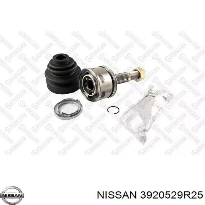  3920529R25 Nissan